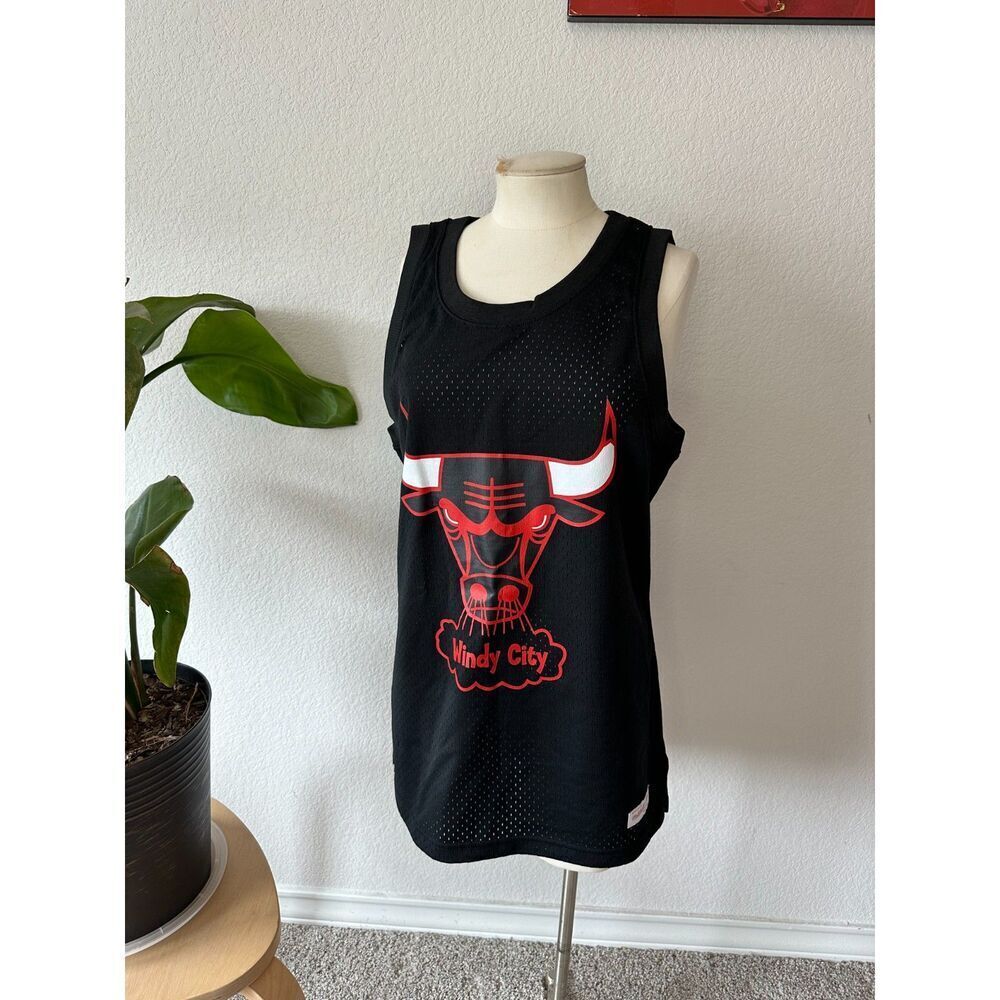 Mitchell & Ness NBA Chicago Bulls Mesh Windy City Jersey